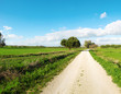 passeggiata tra i campi verdi