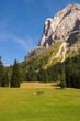 Sass de Puntia - Villnößtal - Dolomiten - Alpen