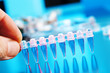 DNA profiling