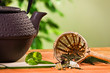 Closeup tea strainer with teapot and fresh mint leaves