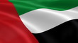 Emirati flag in the wind