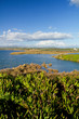 beautiful marshlands