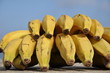Ripe bananas Ripe bananas