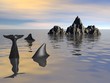 dolphin