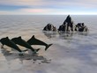 delfini