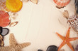 Foto: Tropical shell Tropical shell