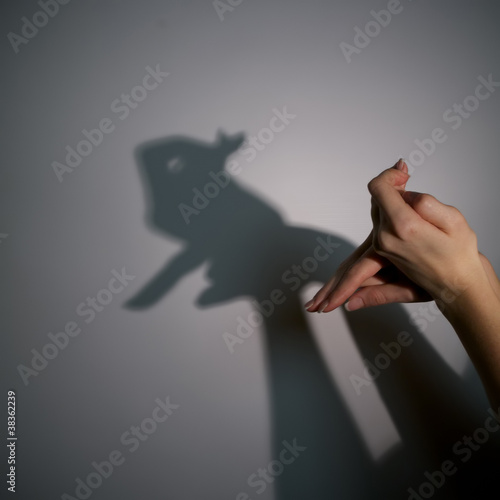 Photo: silhouette shadow of rabbit silhouette shadow of rabbit
