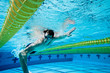 Foto: Swimming Swimming