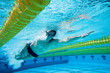 Foto: Swimming Swimming
