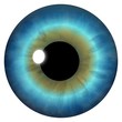 Blue Eye Iris
