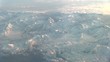 Alpen