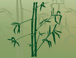 bamboo cove