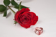 rote Rose und zwei Herzen Freisteller
