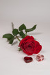 rote Rose und zwei Herzen Freisteller