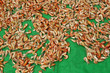 dried shrimps on green background