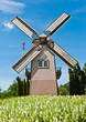 Windmill Windmill