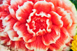 Fruit carving, Watermelon carving details. Fruit carving, Watermelon carving details.