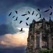 Mystery gothic castle Edinburgh