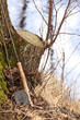 Fly fishing rod