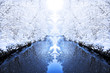 winter mirror