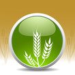 modern wheat sign