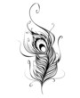 Vector: stylized peacock feather stylized peacock feather