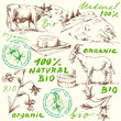 bio collectionj