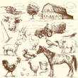 farm