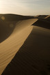 Desert Dune of Abu Dhabi Desert Dune of Abu Dhabi