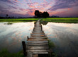Tropical river