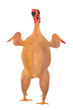 raw full length chicken lying