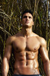 Foto: male model with muscles on the countryside male model with muscles on the countryside