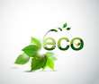 eco poster with fresh green leaves