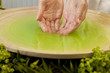 Woman's Hands in Green Liquid at Health Spa