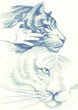 animaux
