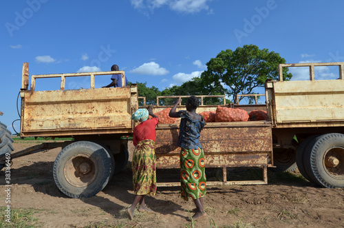 Photo: contadine africane contadine africane
