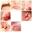 Collage Newborn Details