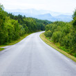 Empty forest road