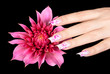 Nails and Flower