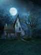 Withch's House