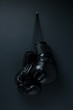 Photo: Boxing Gloves Boxing Gloves