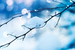 Winter art design. Snow