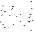 Fliege