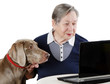 senior woman with dog working on a laptop