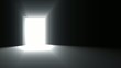 Door open animation