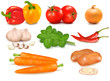 The big colorful group of vegetables. Vector.