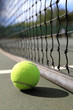 Tennis ball lies next to the net
