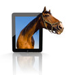 Foto: 3d Tablet PC 3d Tablet PC
