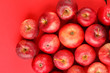 background with fresh red apples background with fresh red apples