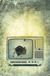 Foto: broken television print broken television print